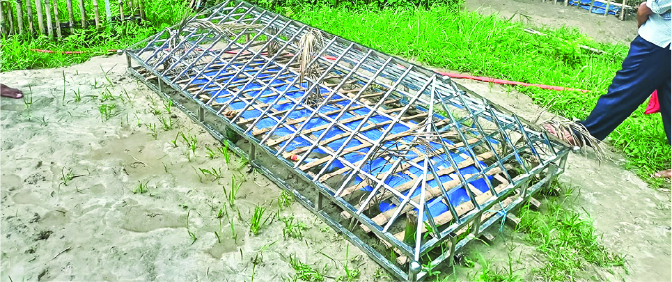 Image of মো: সুজন মাহমুদ